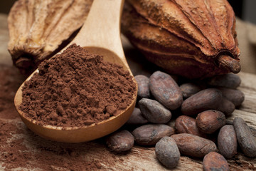 cacao et graine de cacao avec cuillère en bois